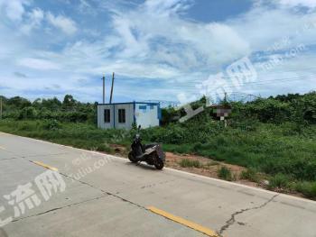 北海银海区 9亩 果园 经营权出租