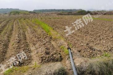 直辖行政单位潜江市 32.15亩 旱地 经营权出租