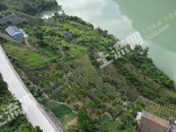 宜昌长阳土家族自治县 600亩 果园 经营权出租