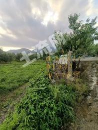 泰安泰山区 1亩 农村宅基地 使用权转让