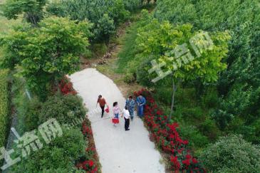 襄阳市樊城区 200亩 乔木林地 经营权合作