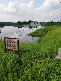 青岛莱西市 200亩 水浇地 经营权出租