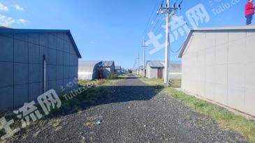 乌鲁木齐乌鲁木齐县 50亩 设施农用地 经营权出租