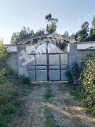 保山隆阳区 1.29亩 农村宅基地 使用权转让