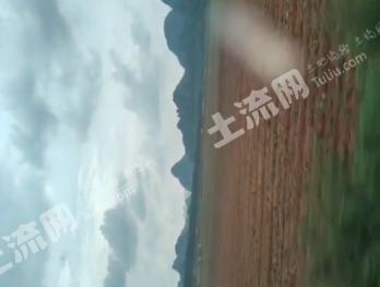 来宾兴宾区 20000亩 旱地 经营权出租