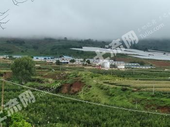 丽江永胜县 64.7亩 设施农用地 经营权出租
