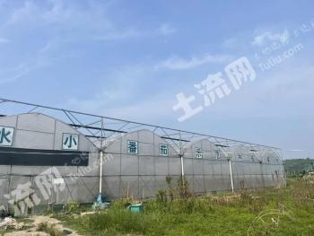 绍兴柯桥区 100亩 旱地 经营权出租