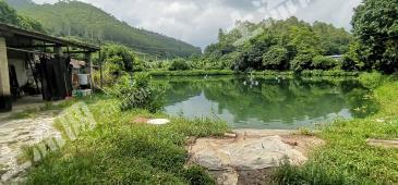 云浮新兴县 7亩 坑塘水面 经营权出租