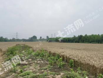 陕西西安 32亩 水浇地 经营权出租