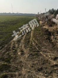 陕西西安 64亩 水浇地 经营权出租