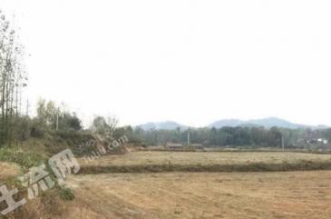 保定徐水区 188.71亩 工业用地 使用权出租