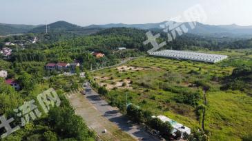 南京江宁区 155.8亩 其它林地 经营权转让