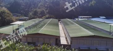 梅州蕉岭县 230亩 农场 使用权转让