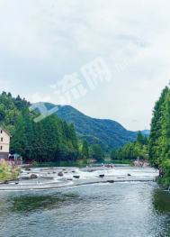 杭州余杭区6亩果园经营权转包