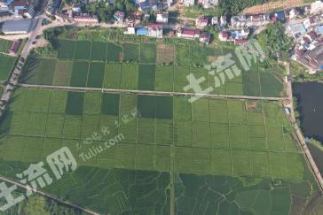 南平松溪县 500亩 水田 经营权出租