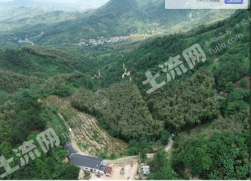 宣城广德县 110亩 其它林地 经营权转让