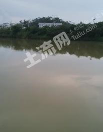 玉林北流市 70亩 坑塘水面 经营权出租