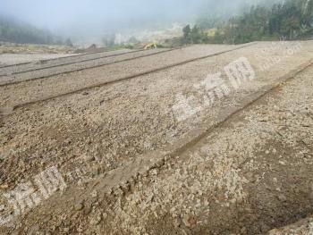 南平延平区 500亩 水田 经营权出租