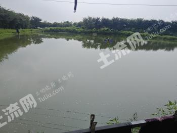常州新北区 15亩 坑塘水面 经营权出租