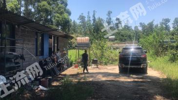 珠海香洲区 6亩 其它林地 经营权出租