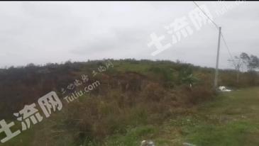 玉林博白县 5000亩 灌木林地 经营权出租