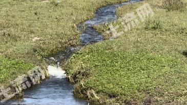 兴安盟突泉县 3100亩 荒山 使用权出租