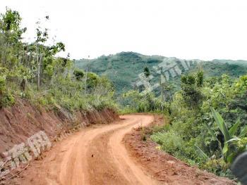 西双版纳勐腊县 68亩 灌木林地 经营权出租