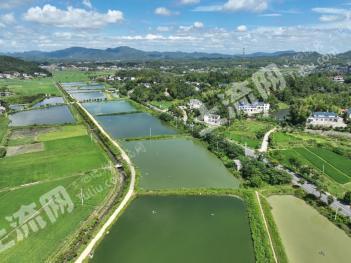 湘潭韶山市 330亩 坑塘水面 经营权出租
