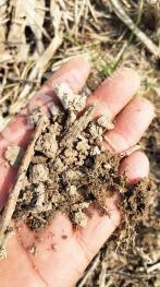 开封祥符区 130亩 水浇地 经营权出租