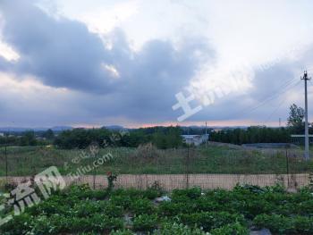 临沂沂水县6.03亩农场使用权转让