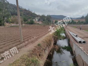 楚雄大姚县 1000亩 水浇地 经营权出租