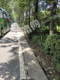 西安长安区 5亩 水浇地 经营权出租