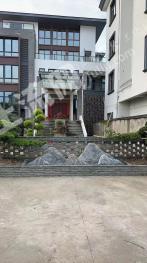 嘉兴桐乡市 600平方米 农村宅基地 使用权出租