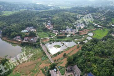 长沙岳麓区 80亩 果园 经营权出租