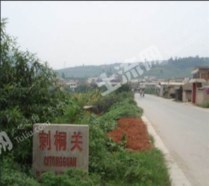 玉溪红塔区 76.08亩 果园 经营权出租