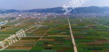 玉溪红塔区 17.7亩 水浇地 经营权出租