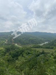 宝鸡麟游县 259亩 设施农用地 经营权出租