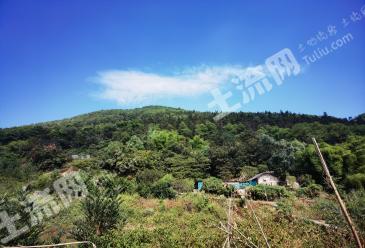 重庆永川区 60亩 农场 使用权出租