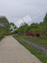 连云港东海县 39549平方米 城镇住宅用地 招拍挂