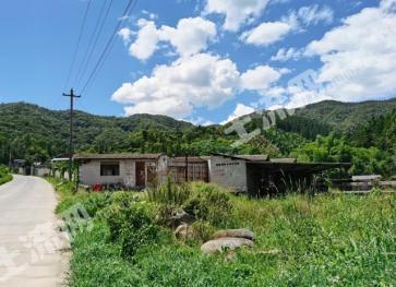 保山腾冲市 10.21亩 人工牧草地 经营权转让