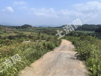 萍乡莲花县 453亩 旱地 经营权出租