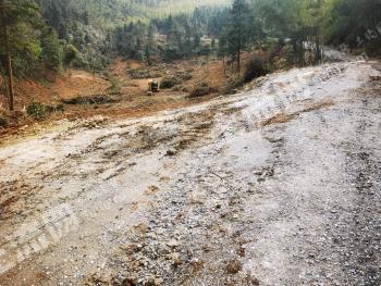 萍乡莲花县 1260亩 灌木林地 经营权出租