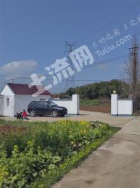 南京高淳区 52.58亩 旱地 经营权转让