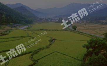 安庆潜山市 9亩 水田 经营权出租
