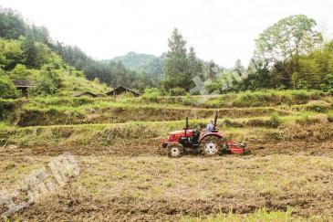 恩施恩施市 10.83亩 旱地 经营权出租