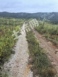 萍乡莲花县 165亩 旱地 经营权出租