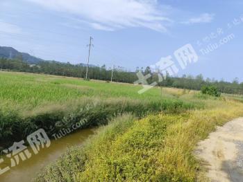 九江瑞昌市 600亩 水田 经营权转让