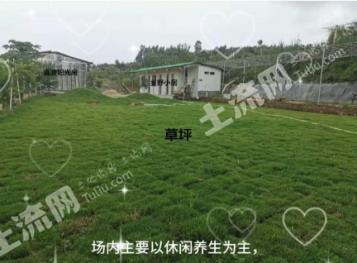 江门鹤山市 3亩 旱地 经营权转让