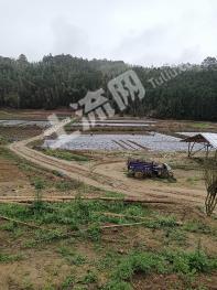 南平顺昌县 151.35亩 水浇地 经营权出租