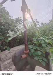 鹤壁淇滨区 120亩 水浇地 经营权出租